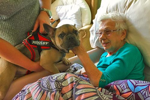 pet therapy dog with resident